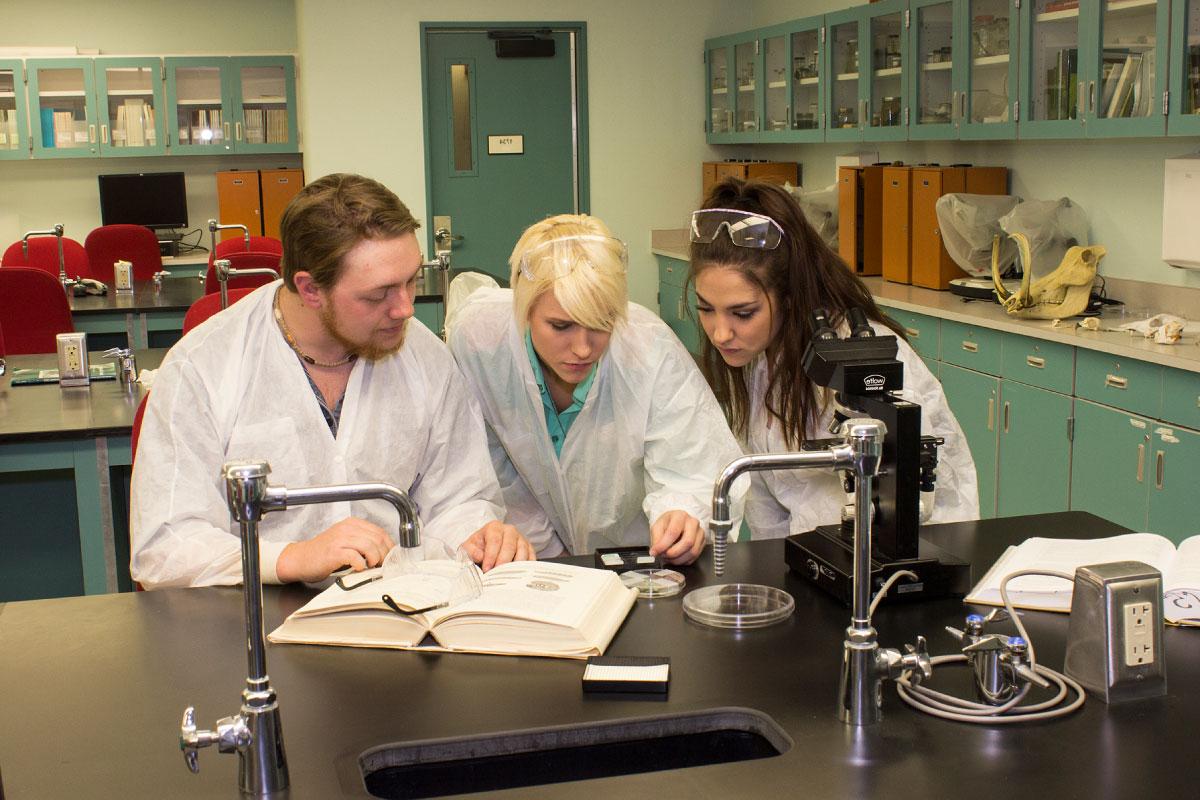 Three people wearing white lab coats looking at petri dish.